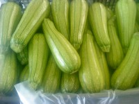 /album/productos/calabaza-2-jpg/